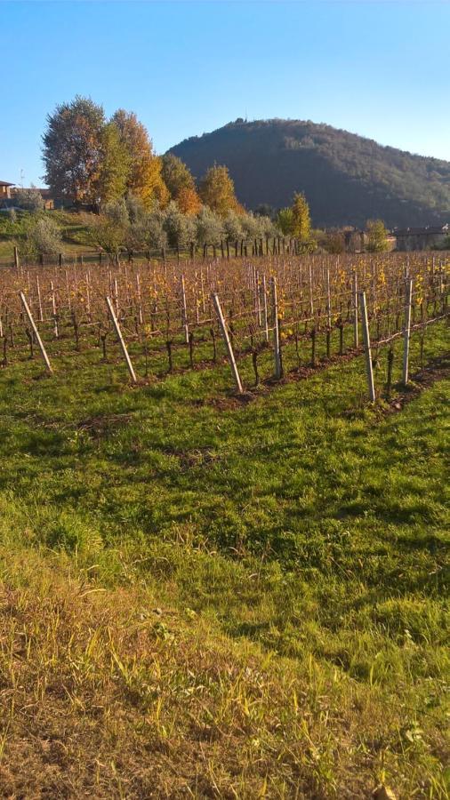 Acero Rosso B&B In Franciacorta Erbusco Exteriér fotografie