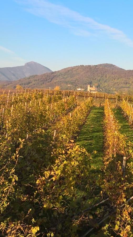 Acero Rosso B&B In Franciacorta Erbusco Exteriér fotografie